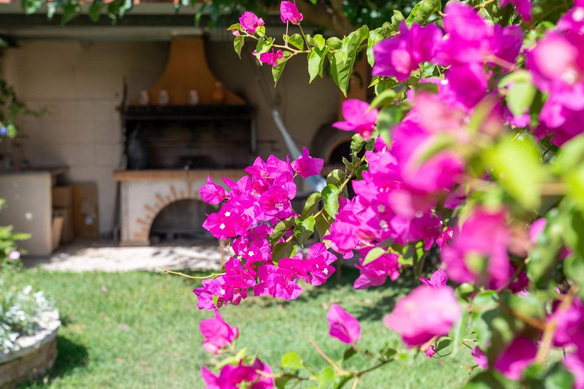Garden Holiday home *